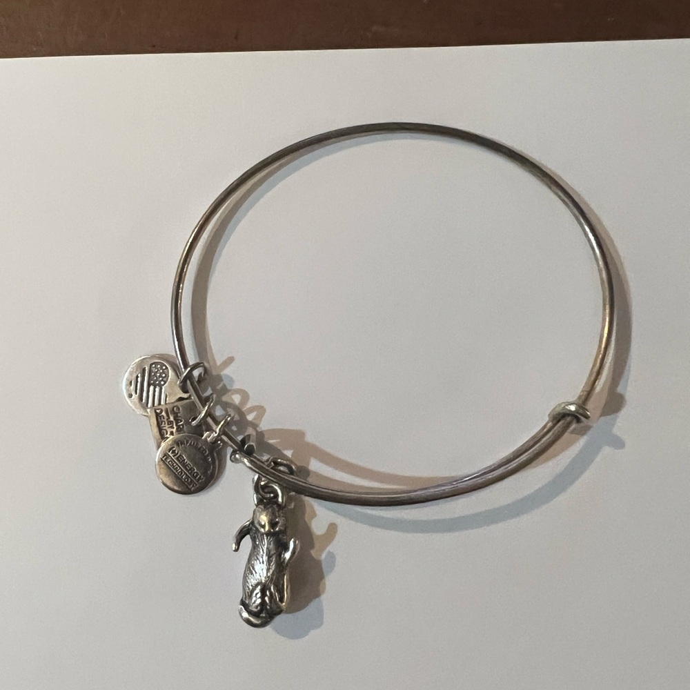 Alex and Ani Otter